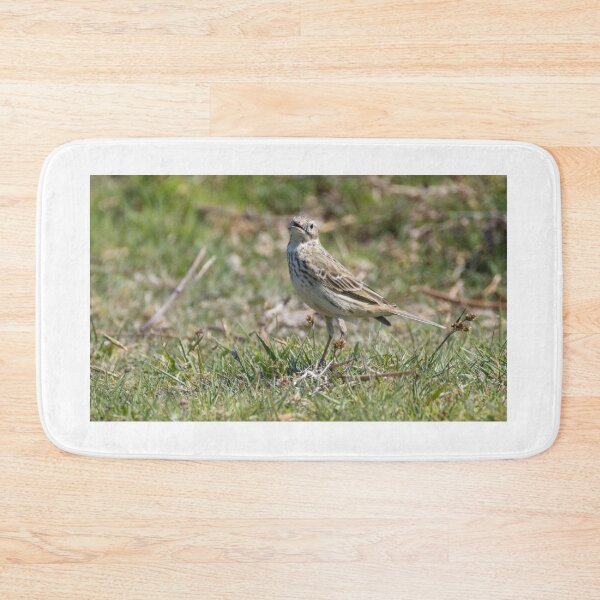 Item preview, Tree Pipit designed and sold by LaurenTucker.