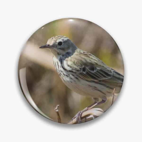 Item preview, Tree Pipit designed and sold by LaurenTucker.
