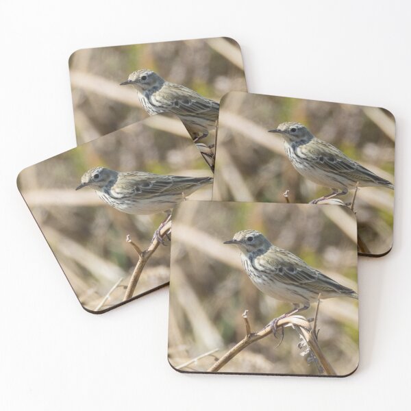 Item preview, Tree Pipit designed and sold by LaurenTucker.