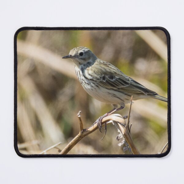 Item preview, Tree Pipit designed and sold by LaurenTucker.