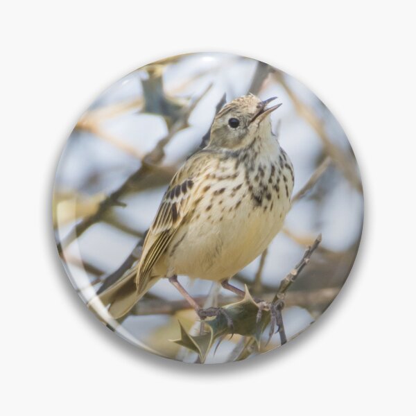 Item preview, Tree Pipit designed and sold by LaurenTucker.