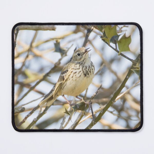 Item preview, Tree Pipit designed and sold by LaurenTucker.