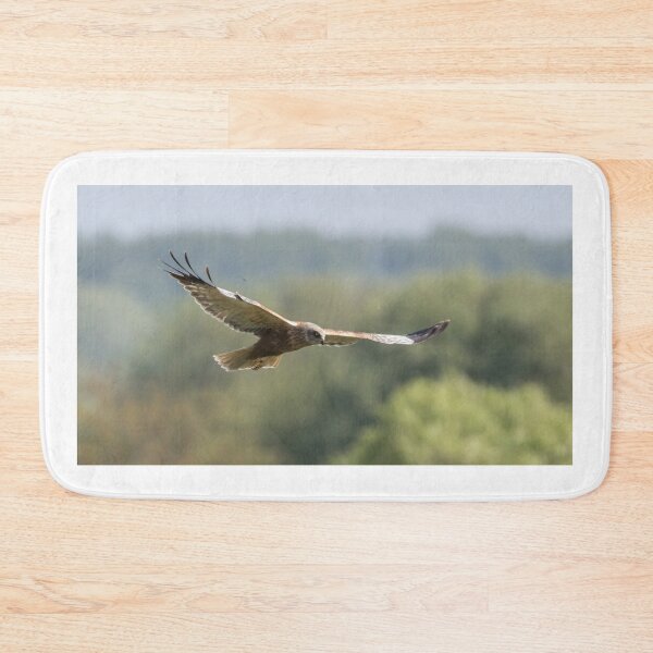 Item preview, Western Marsh Harrier designed and sold by LaurenTucker.