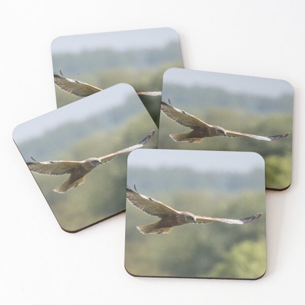 Item preview, Western Marsh Harrier designed and sold by LaurenTucker.