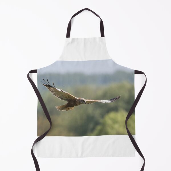 Item preview, Western Marsh Harrier designed and sold by LaurenTucker.