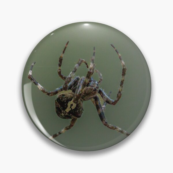 Item preview, Hanging Spider designed and sold by JanisGetlins.