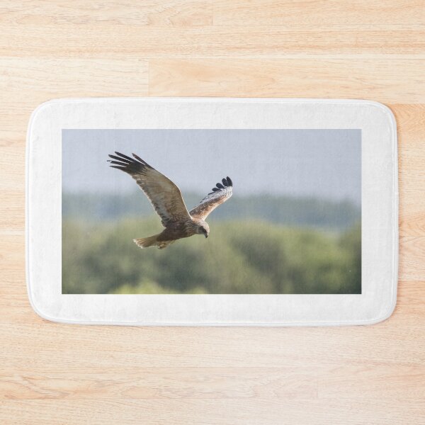Item preview, Western Marsh Harrier designed and sold by LaurenTucker.