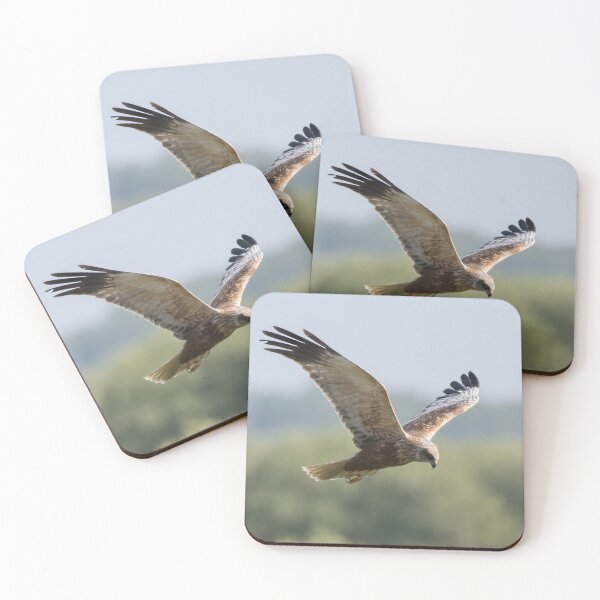 Item preview, Western Marsh Harrier designed and sold by LaurenTucker.