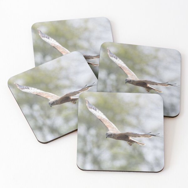 Item preview, Western Marsh Harrier designed and sold by LaurenTucker.