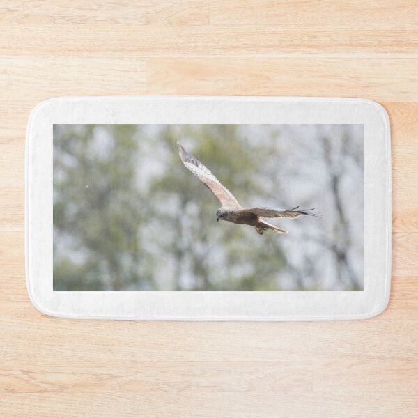 Item preview, Western Marsh Harrier designed and sold by LaurenTucker.
