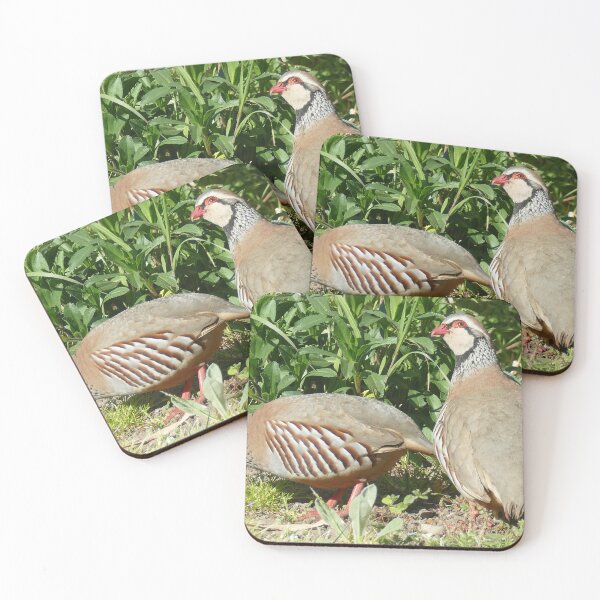 Item preview, Red-legged Partridges designed and sold by Chris Petty.