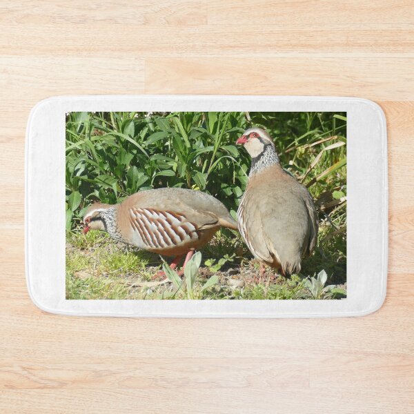 Item preview, Red-legged Partridges designed and sold by Chris Petty.