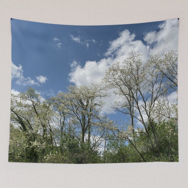 Item preview, Catalpa Alpha 5 designed and sold by Abeink1030.