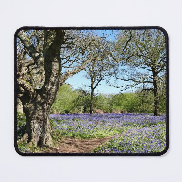 Item preview, Bluebell Woodland designed and sold by Chris Petty.