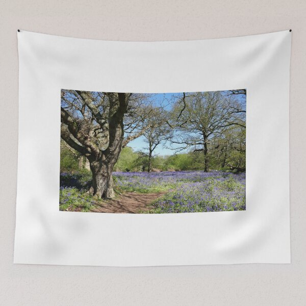 Item preview, Bluebell Woodland designed and sold by Chris Petty.