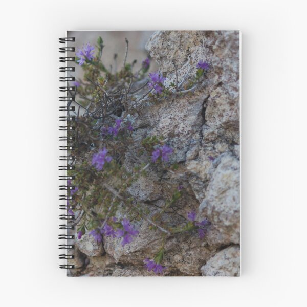 Item preview, Purple Wildflowers Growing From a Rocky Crevice on Limestone Cliff Close-Up Showing Resilience designed and sold by Nmallia.