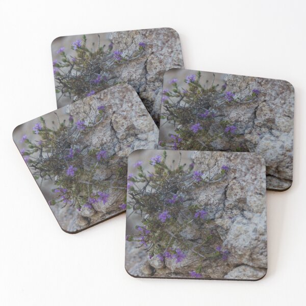 Item preview, Purple Wildflowers Growing From a Rocky Crevice on Limestone Cliff Close-Up Showing Resilience designed and sold by Nmallia.