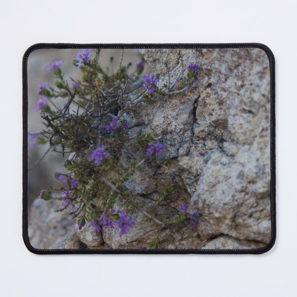 Item preview, Purple Wildflowers Growing From a Rocky Crevice on Limestone Cliff Close-Up Showing Resilience designed and sold by Nmallia.