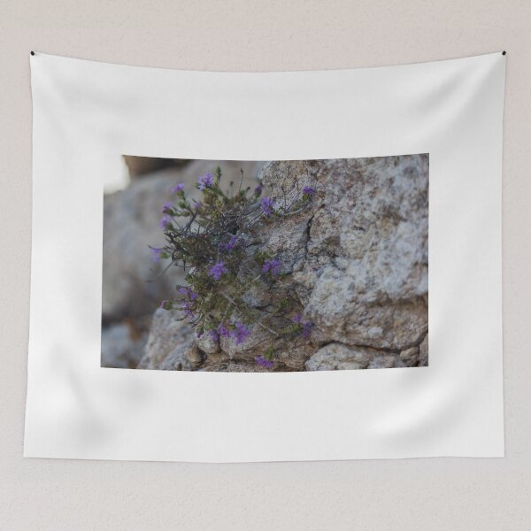 Item preview, Purple Wildflowers Growing From a Rocky Crevice on Limestone Cliff Close-Up Showing Resilience designed and sold by Nmallia.