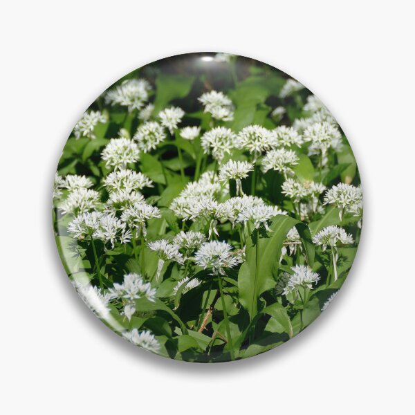 Item preview, Wild Garlic Flowers designed and sold by Chris Petty.