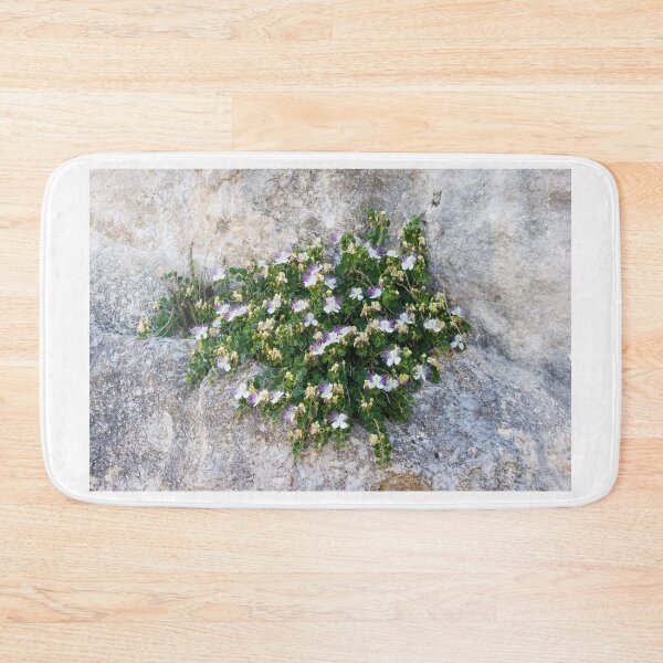 Item preview, Caper Bush With White And Purple Flowers Growing On Rocky Limestone Cliff In Mediterranean Landscape designed and sold by Nmallia.