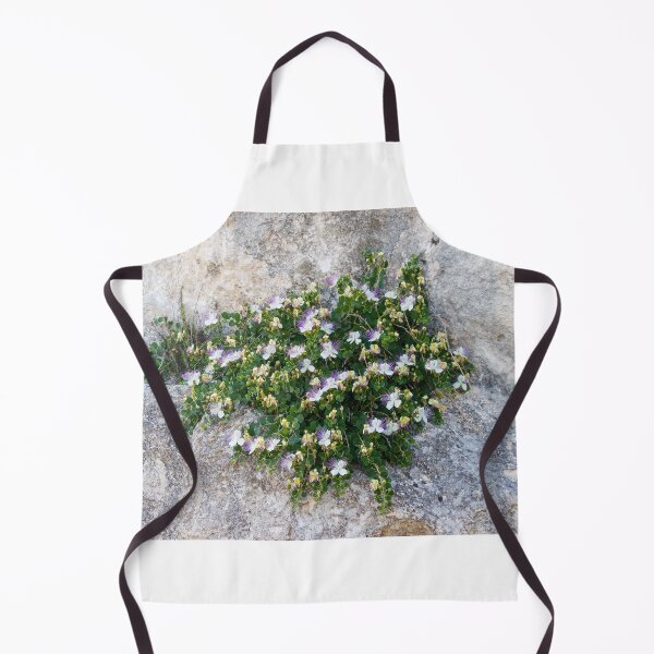 Item preview, Caper Bush With White And Purple Flowers Growing On Rocky Limestone Cliff In Mediterranean Landscape designed and sold by Nmallia.