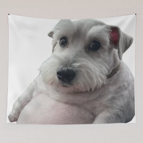 Item preview, Gray Schnauzer puppy with a giant belly designed and sold by NF Designs Studio DTF.