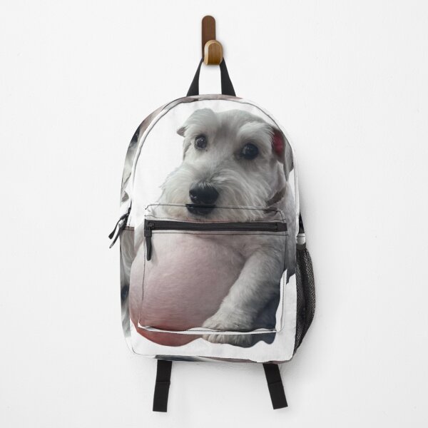Item preview, Gray Schnauzer puppy with a giant belly designed and sold by NF Designs Studio DTF.