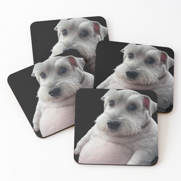 Item preview, Gray Schnauzer puppy with a giant belly designed and sold by NF Designs Studio DTF.