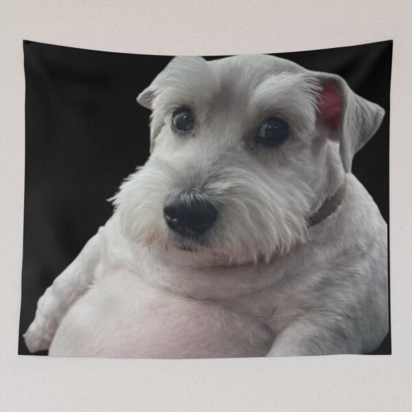 Item preview, Gray Schnauzer puppy with a giant belly designed and sold by NF Designs Studio DTF.