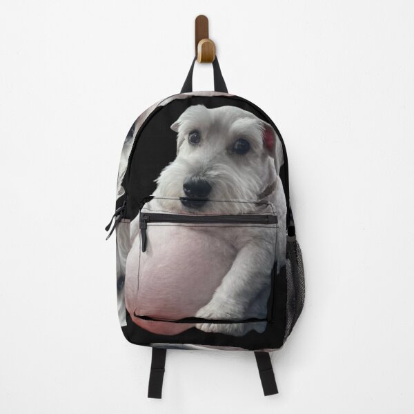Item preview, Gray Schnauzer puppy with a giant belly designed and sold by NF Designs Studio DTF.