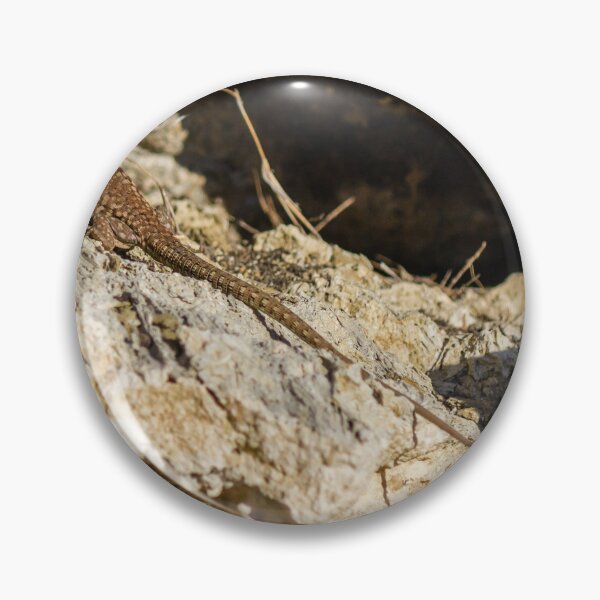 Item preview, Sunlit Brown Lizard Basking on Limestone Rocks in a Dry Mediterranean-Style Habitat designed and sold by Nmallia.