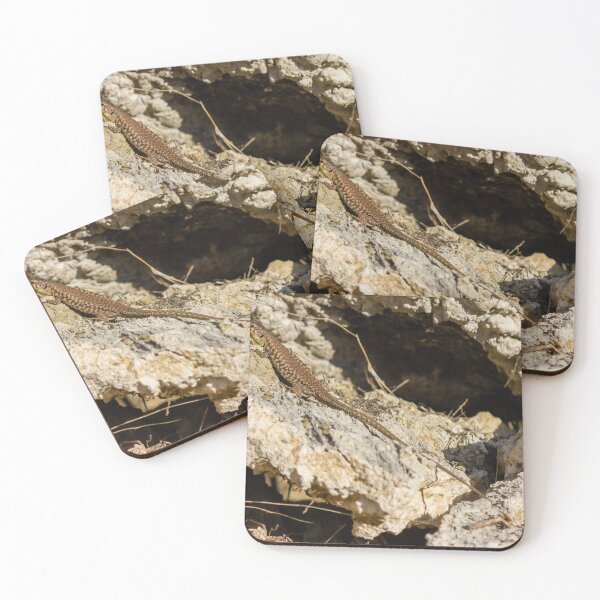 Item preview, Sunlit Brown Lizard Basking on Limestone Rocks in a Dry Mediterranean-Style Habitat designed and sold by Nmallia.