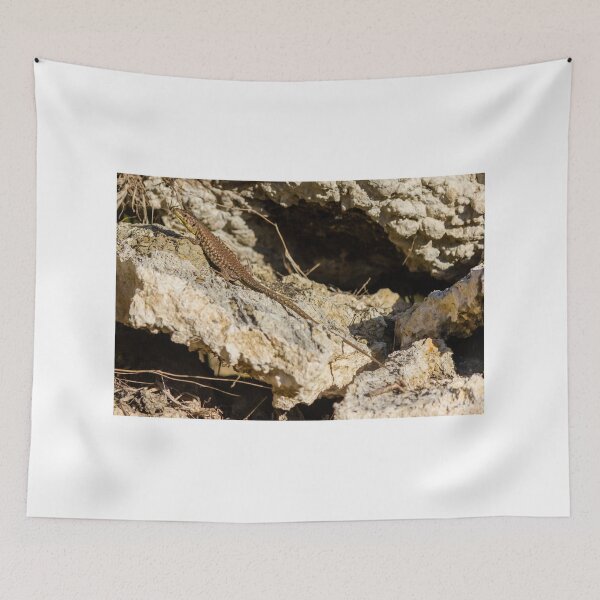 Item preview, Sunlit Brown Lizard Basking on Limestone Rocks in a Dry Mediterranean-Style Habitat designed and sold by Nmallia.