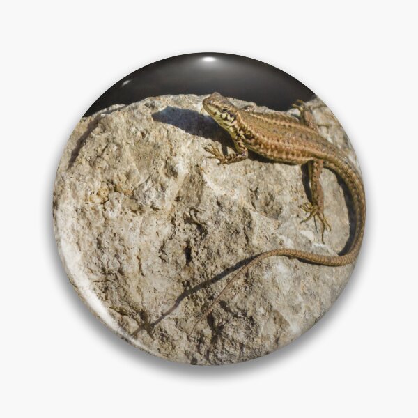 Item preview, Sunlit Brown Lizard Basking on Limestone Rocks in a Dry Mediterranean-Style Habitat designed and sold by Nmallia.