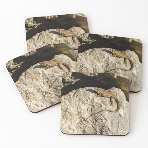 Item preview, Sunlit Brown Lizard Basking on Limestone Rocks in a Dry Mediterranean-Style Habitat designed and sold by Nmallia.