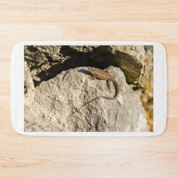 Item preview, Sunlit Brown Lizard Basking on Limestone Rocks in a Dry Mediterranean-Style Habitat designed and sold by Nmallia.