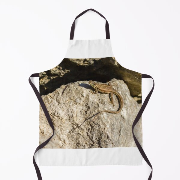 Item preview, Sunlit Brown Lizard Basking on Limestone Rocks in a Dry Mediterranean-Style Habitat designed and sold by Nmallia.