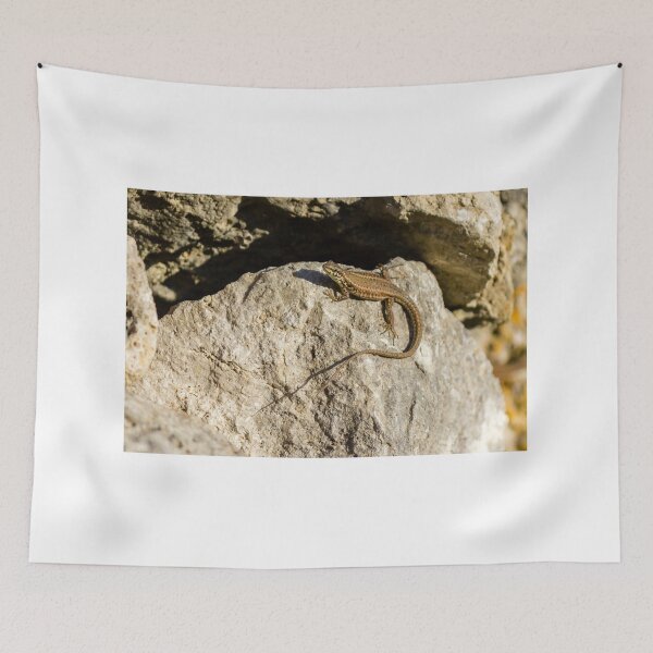 Item preview, Sunlit Brown Lizard Basking on Limestone Rocks in a Dry Mediterranean-Style Habitat designed and sold by Nmallia.