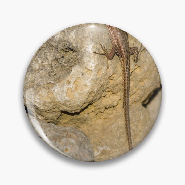 Item preview, Sunlit Brown Lizard Basking on Limestone Rocks in a Dry Mediterranean-Style Habitat designed and sold by Nmallia.
