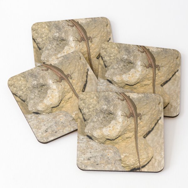 Item preview, Sunlit Brown Lizard Basking on Limestone Rocks in a Dry Mediterranean-Style Habitat designed and sold by Nmallia.