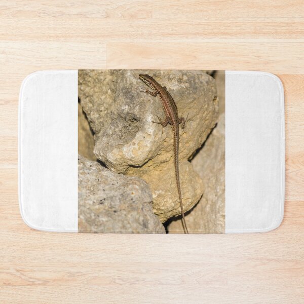 Item preview, Sunlit Brown Lizard Basking on Limestone Rocks in a Dry Mediterranean-Style Habitat designed and sold by Nmallia.