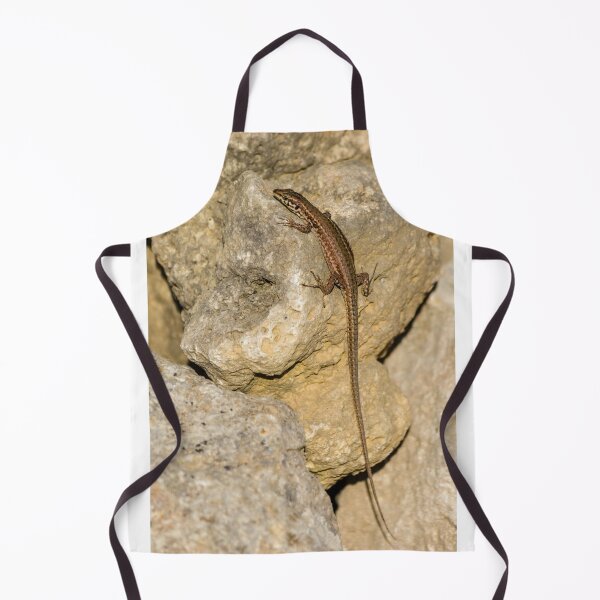 Item preview, Sunlit Brown Lizard Basking on Limestone Rocks in a Dry Mediterranean-Style Habitat designed and sold by Nmallia.