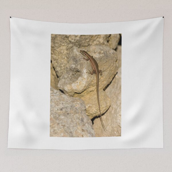 Item preview, Sunlit Brown Lizard Basking on Limestone Rocks in a Dry Mediterranean-Style Habitat designed and sold by Nmallia.