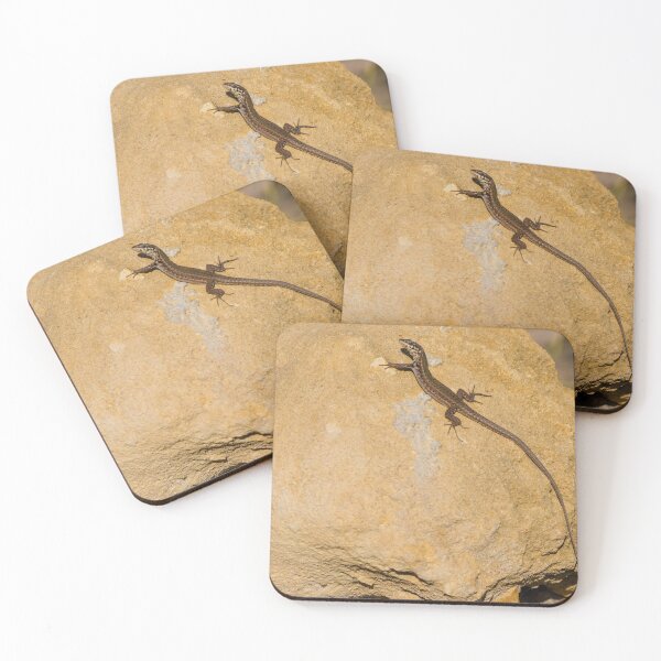 Item preview, Sunlit Brown Lizard Basking on Limestone Rocks in a Dry Mediterranean-Style Habitat designed and sold by Nmallia.