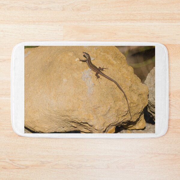 Item preview, Sunlit Brown Lizard Basking on Limestone Rocks in a Dry Mediterranean-Style Habitat designed and sold by Nmallia.