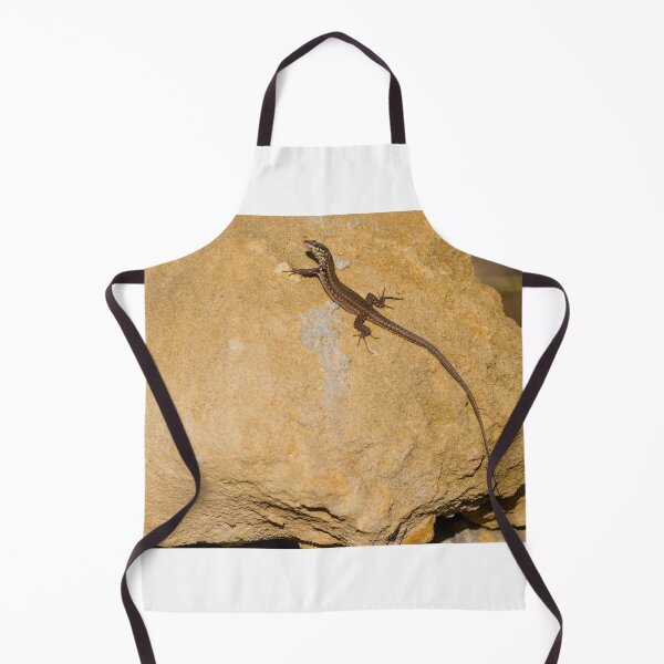 Item preview, Sunlit Brown Lizard Basking on Limestone Rocks in a Dry Mediterranean-Style Habitat designed and sold by Nmallia.