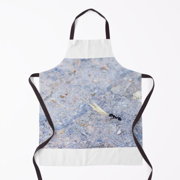 Item preview, Black Ant Carrying Winged Seed Across Rocky Ground Symbolizing Determination And Teamwork In Nature designed and sold by Nmallia.