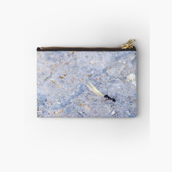 Item preview, Black Ant Carrying Winged Seed Across Rocky Ground Symbolizing Determination And Teamwork In Nature designed and sold by Nmallia.