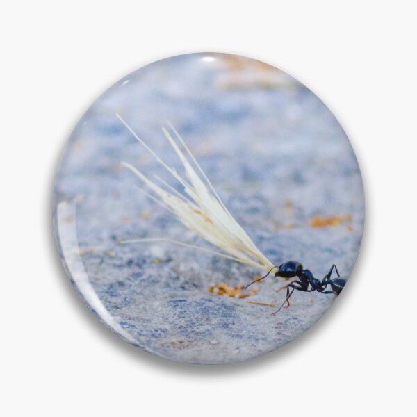 Item preview, Black Ant Carrying Winged Seed Across Rocky Ground Symbolizing Determination And Teamwork In Nature designed and sold by Nmallia.